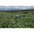 Kép 9/11 - DJI AGRAS T30 permetező drón